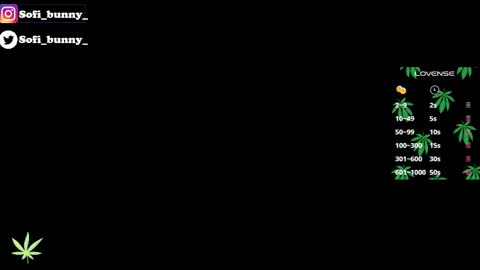 soffi_bunny_ online show from January 2026 08:05:02 AM