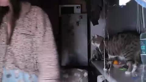 Sofi online show from December 2025 08:02:01 PM