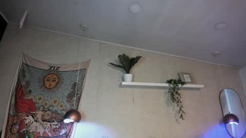 sofii_wild online show from May 2026 12:13:02 PM