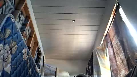 sohan730903 online show from October 2025 07:20:02 PM