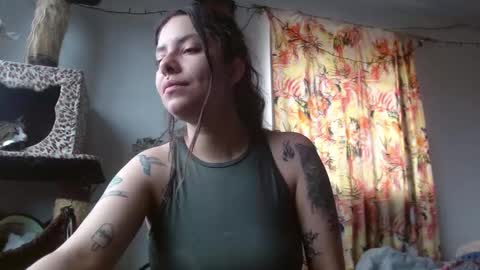 Sofia online show from November 2025 02:48:02 PM