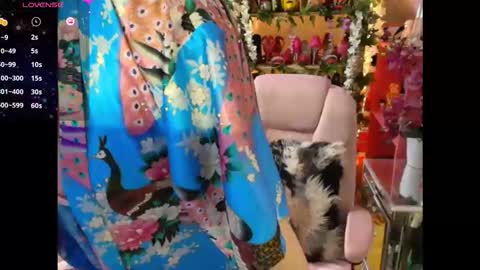 solesticia online show from February 2026 05:51:01 PM