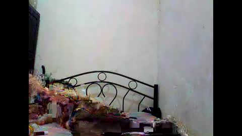 Snapshot of sophialaurel chatting on October 2025 06:52:01 AM sophialaurel online show from October 2025 06:52:01 AM