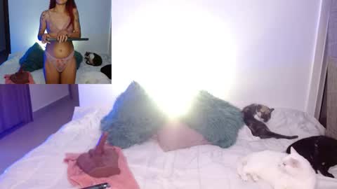 Snapshot of soysilvanna_ chatting on February 2026 11:46:01 PM online show from February 2026 11:46:01 PM