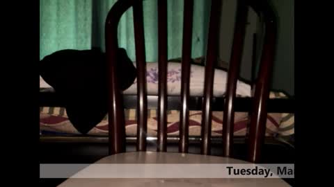 Snapshot of space_dog25 chatting on March 2026 05:24:02 AM space Dog25 online show from March 2026 05:24:02 AM