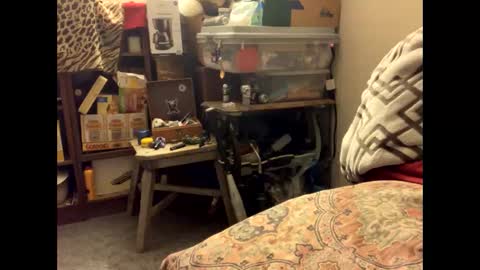 spermdoner23 online show from November 2025 01:32:01 PM