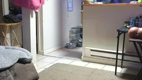 Snapshot of stacytasteme chatting on October 2025 04:23:02 AM Submissive Slut LOVES adoration online show from October 2025 04:23:02 AM