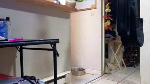 Snapshot of stacytasteme chatting on November 2025 03:18:02 AM Submissive Slut LOVES adoration online show from November 2025 03:18:02 AM