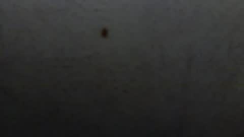 starguy600 online show from January 2026 07:46:01 AM