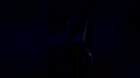 steelydan1942 online show from January 2026 11:36:02 AM