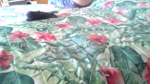 Rocco-load online show from October 2025 01:56:02 PM