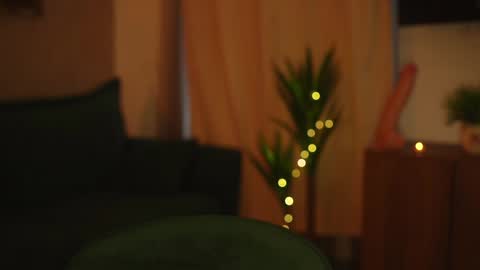 Stella online show from January 2025 07:03:01 AM