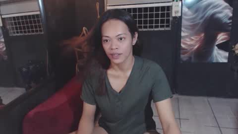 stella online show from December 2025 10:31:01 AM