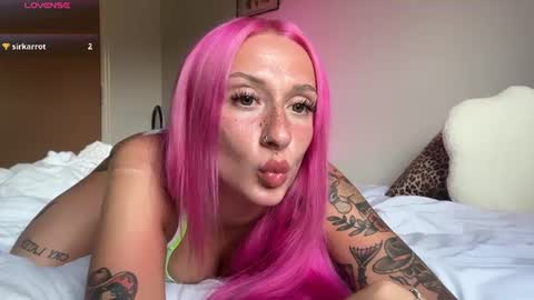 Snapshot of stellacorbet chatting on June 2026 09:24:01 PM stellacorbet online show from June 2026 09:24:01 PM