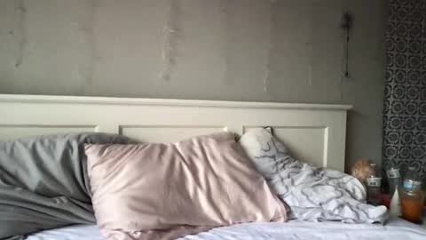 stelladams online show from March 2026 09:43:02 PM