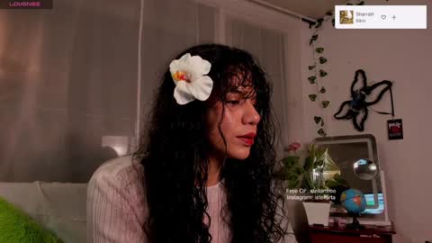 Snapshot of stellart_ chatting on December 2024 03:11:02 AM stellart_ online show from December 2024 03:11:02 AM