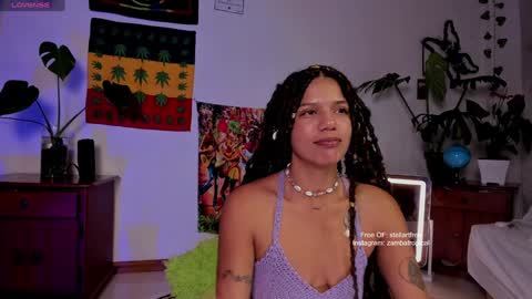 Snapshot of stellart_ chatting on January 2025 09:39:01 AM stellart_ online show from January 2025 09:39:01 AM