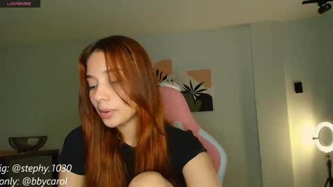 Snapshot of steph_y1030 chatting on January 2025 12:28:01 AM stephany online show from January 2025 12:28:01 AM