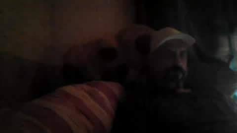 Snapshot of stephan6078 chatting on August 2026 03:19:01 AM stephan6078 online show from August 2026 03:19:01 AM