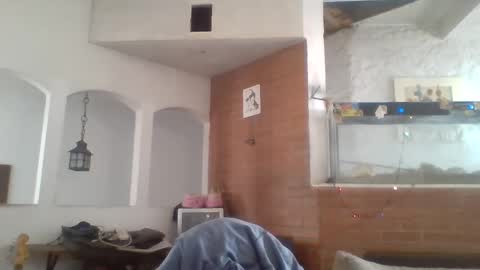 stevenson988 online show from December 2024 06:12:01 PM