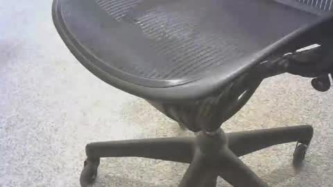 stl hammer online show from November 2025 08:54:01 PM