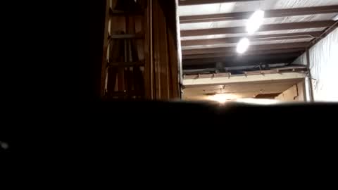 Oval2022 online show from December 2024 12:48:02 AM