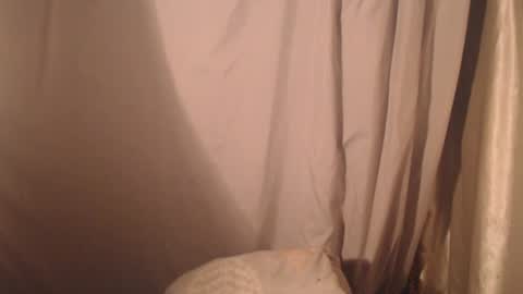 stonenipple online show from October 2025 05:48:02 PM