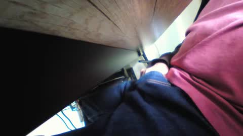 shrek online show from November 2025 11:54:01 PM