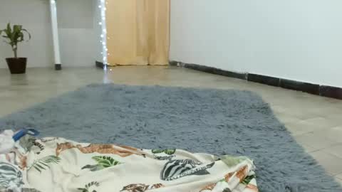 Dulce online show from February 2025 05:09:02 PM