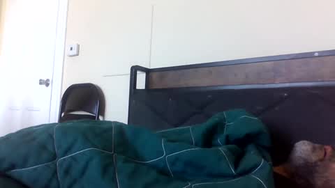 Snapshot of strictdaddy13 chatting on February 2025 02:38:01 PM strictdaddy13 online show from February 2025 02:38:01 PM