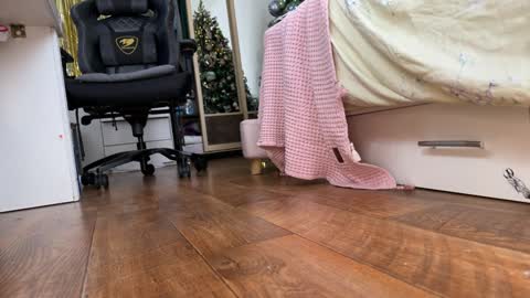 goddess online show from January 2025 12:01:02 PM