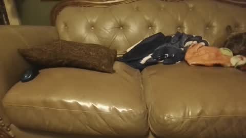 sub_michael41 online show from January 2025 05:05:01 AM