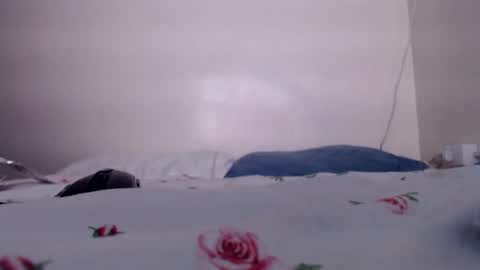 Snapshot of sukmykis chatting on December 2024 05:51:02 AM sukmykis online show from December 2024 05:51:02 AM