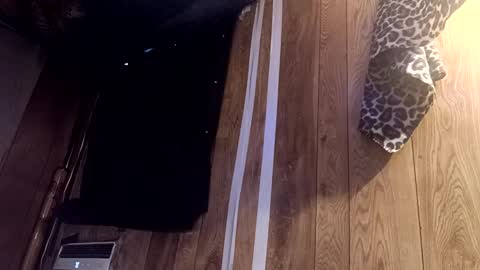 Snapshot of summerdivine69 chatting on February 2025 08:53:02 PM Summer Divine online show from February 2025 08:53:02 PM