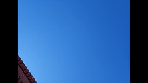 Suntroll online show from January 2025 07:13:02 PM