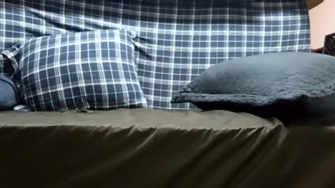 Snapshot of super_dave88 chatting on September 2025 10:53:02 AM Super dave88 online show from September 2025 10:53:02 AM