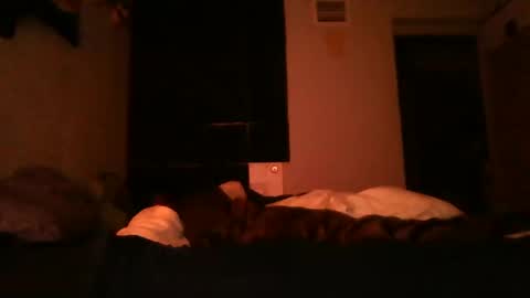 supermanloverhg online show from December 2024 05:50:02 AM