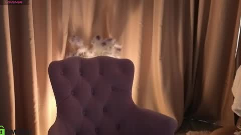 Snapshot of susan__clark chatting on May 2026 06:55:02 AM Annie online show from May 2026 06:55:02 AM