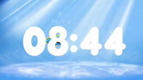 Susan online show from November 2025 02:46:02 AM