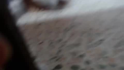 Snapshot of suxxxy_ chatting on January 2025 03:04:02 PM Suxxxy online show from January 2025 03:04:02 PM