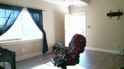 Snapshot of swals chatting on February 2025 04:11:02 PM Swals online show from February 2025 04:11:02 PM