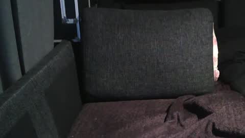 Snapshot of swartarn chatting on December 2024 05:17:01 AM ArnSwart online show from December 2024 05:17:01 AM