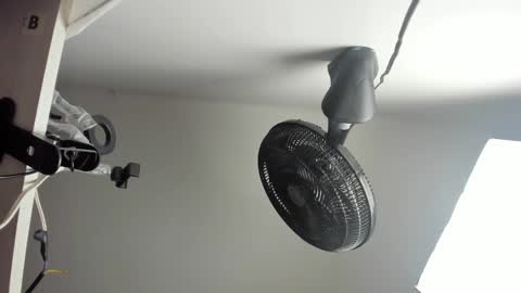 Vanessa online show from October 2025 04:49:02 AM