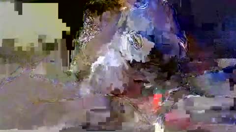 Silvia online show from February 2026 04:49:02 PM