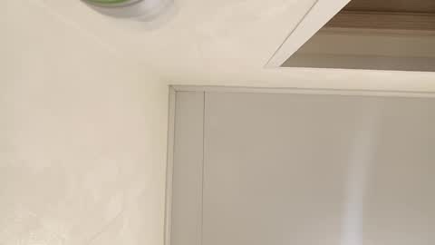 Samanta online show from February 2025 10:17:02 AM