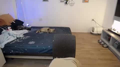 Snapshot of sweetcuteangel chatting on January 2025 04:48:01 PM angel 3 online show from January 2025 04:48:01 PM