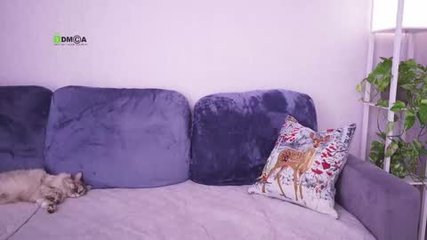 Vicktorious online show from February 2025 08:17:01 AM