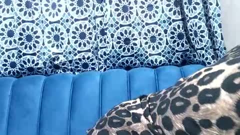 Snapshot of sweetgal11 chatting on July 2026 10:32:01 AM sweetgal11 online show from July 2026 10:32:01 AM