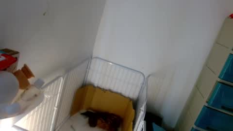 Lilly online show from January 2025 05:20:01 PM