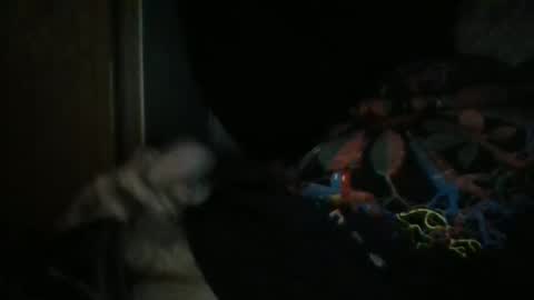 Snapshot of sweetpussylicks chatting on December 2024 08:55:02 AM sweetpussylicks online show from December 2024 08:55:02 AM